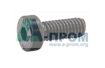 винт, M4x0.7x10 (замена 0030.0017) 072002