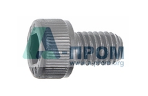 винт, M5x0.8x8 (замена 0030.0030) 042001