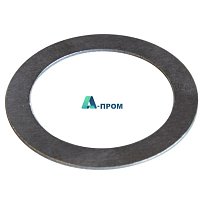 Паспорт-дисковый PS22 x 30 x 0.5 ST blank Pass-Scheibe PS22 x 30 x 0.5 blank ST