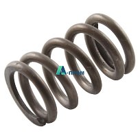 Пружина FD 1.6 8.4 X 18.5 X 3.5 Druckfeder 1.6 FD 8.4 X 18.5 X 3.5